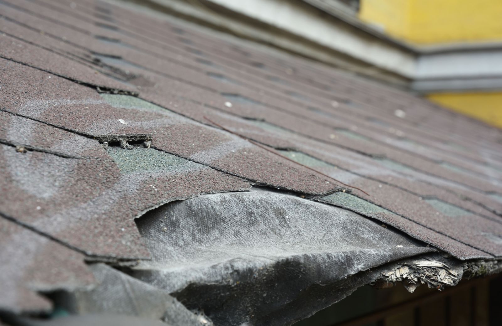 Lunar Roofing Solutions Images