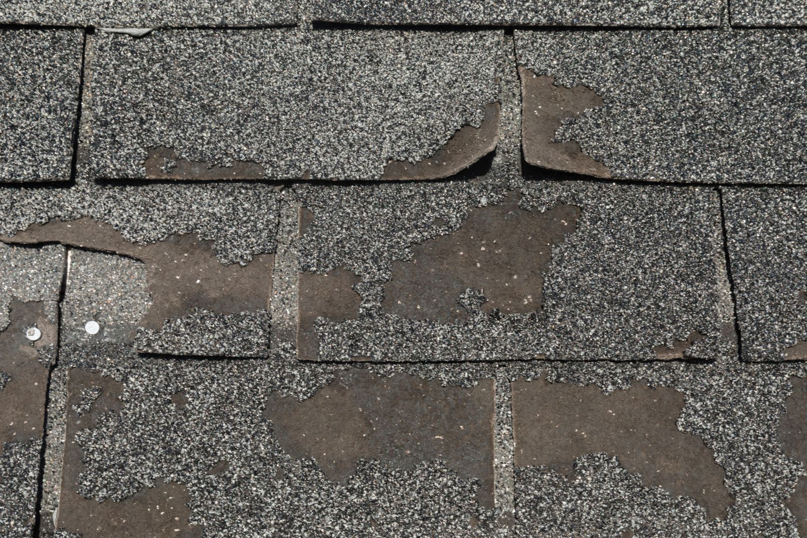 Lunar Roofing Solutions Images